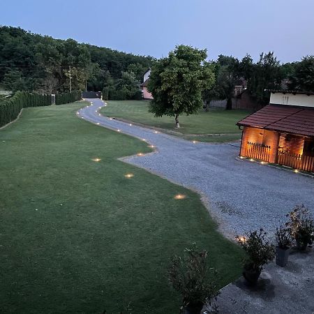 Modern House Surrounded By Nature Grabrov Potok ภายนอก รูปภาพ